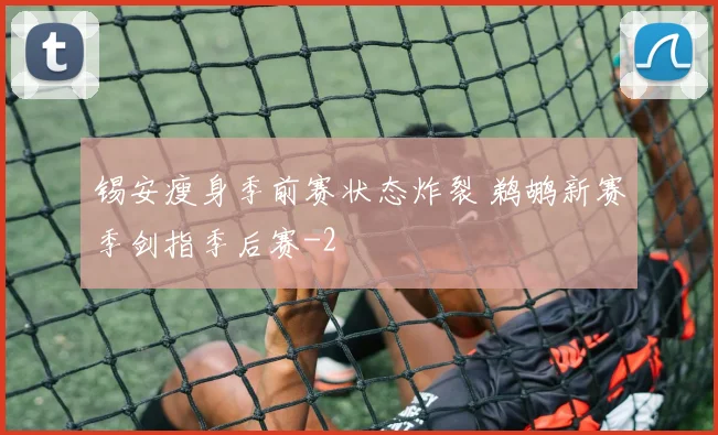锡安瘦身季前赛状态炸裂 鹈鹕新赛季剑指季后赛