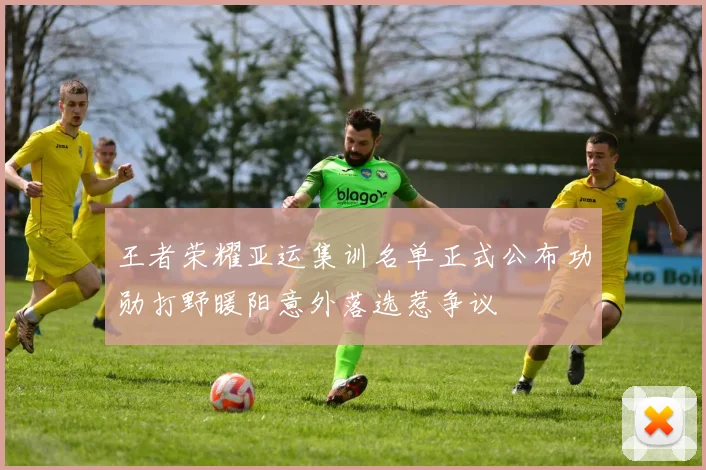 王者荣耀亚运集训名单正式公布功勋打野暖阳意外落选惹争议